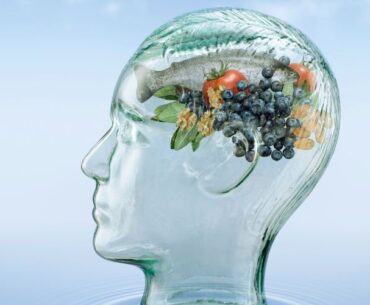 brain foods
