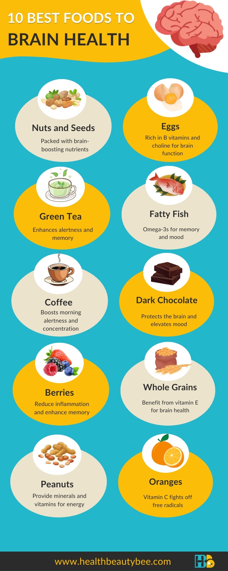 10 Best Brain Foods and Vitamins for Memory infographic healthbeautybee